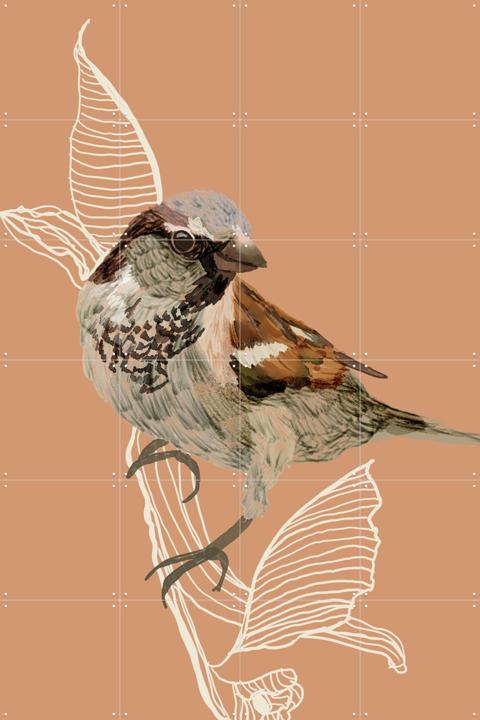 Sparrow