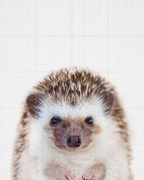 'Print 357 Hedgehog' van Lila + Lola