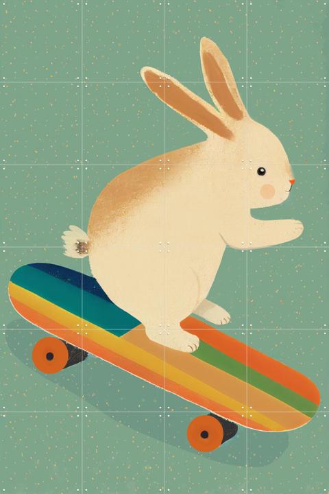 Bunny On Skateboard