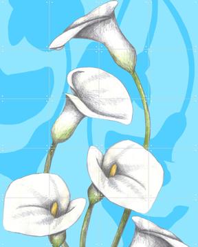 'Calla Lily' par Cecilia Battaini