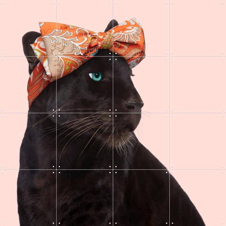 Fashion Panther