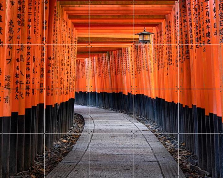 Red Torii Gates Kyoto - Japan