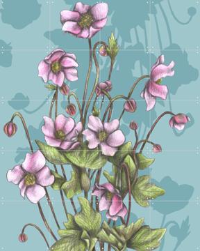 'Winter Anemones' par Cecilia Battaini