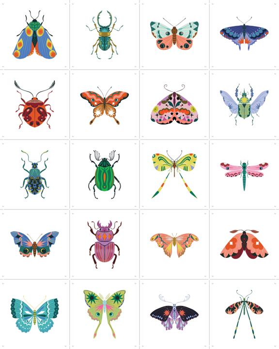 Bugs & Butterflies  Collage-Box