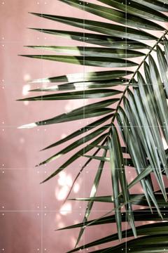 IXXI - Palm Leaves 23 by Mareike Böhmer 