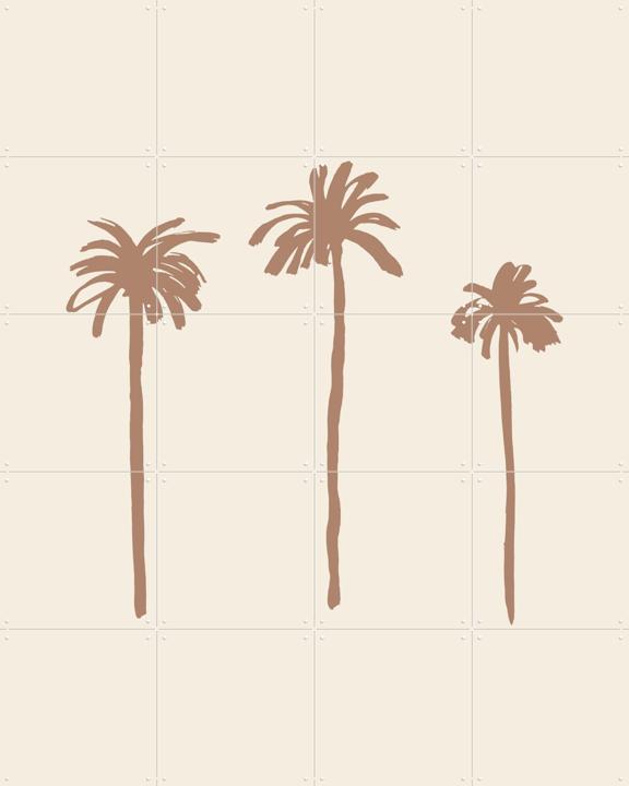 Palms