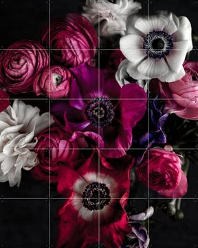 'Dark Flowers' by Mareike Böhmer