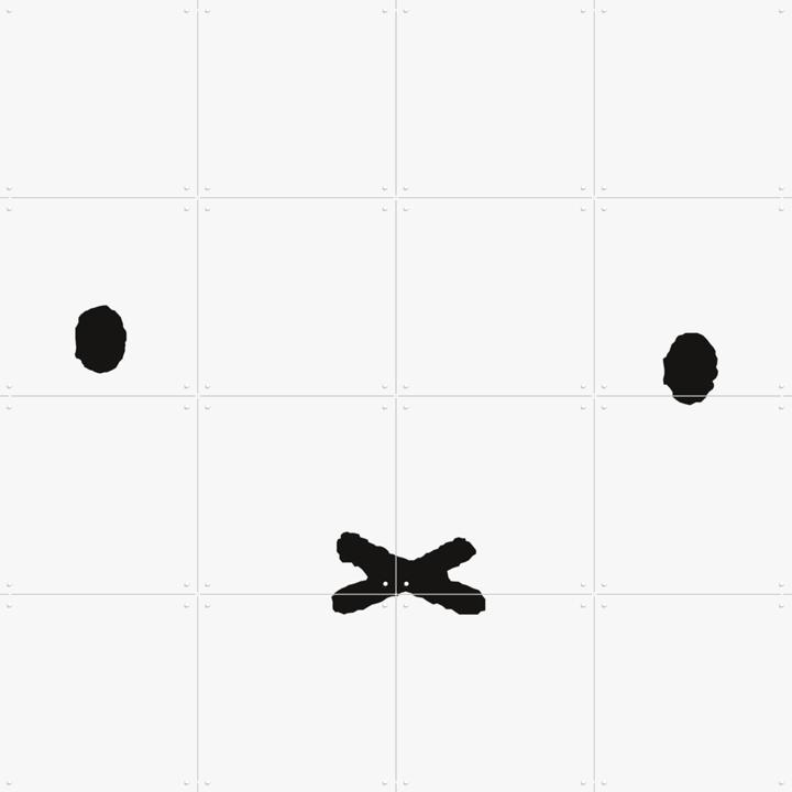 Nijntje Minimalistisch