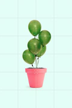 'Cactus Balloon' van Paul Fuentes