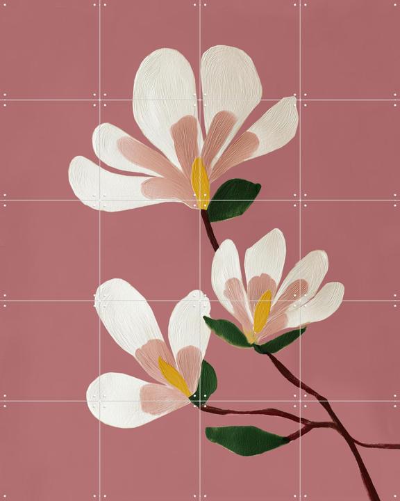 Pink Magnolia Flowers