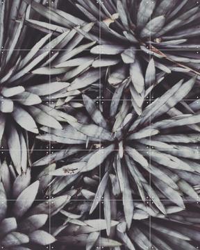 'Polaroids From Saint Laurent 02' von STUDIO HANNAH LEMHOLT