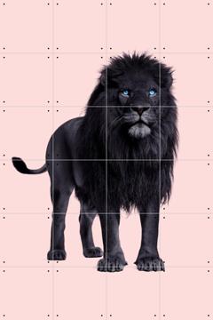 'Black Lion' par Paul Fuentes