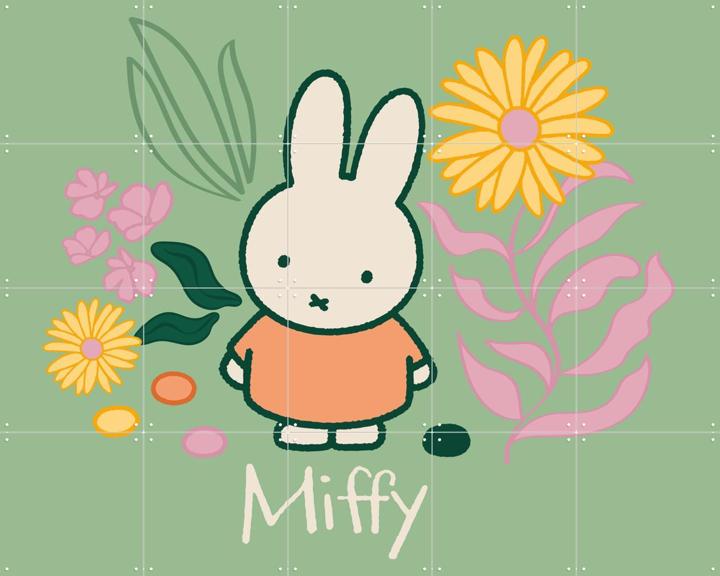 Miffy Nature