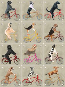 'Dogs on Bicycles Collage Box' by Coco de Paris