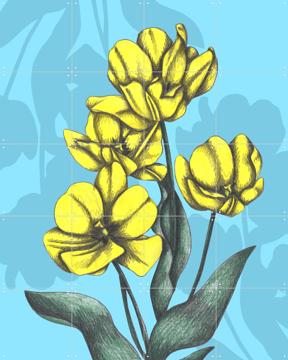 'Yellow Tulips' par Cecilia Battaini