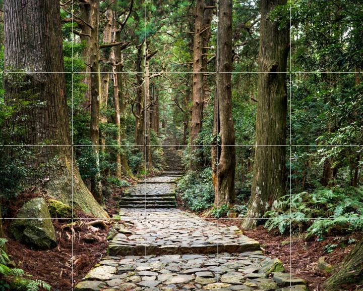 Kumano Kodo Pilgrimage Route