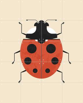 'The Ladybug' van Studio Kars + Boom