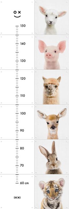 Peekaboo Animals Growth Chart