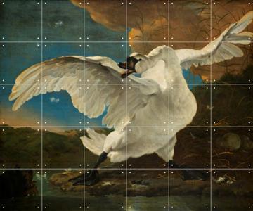 IXXI - The Threatened Swan by Jan Asselijn & Rijksmuseum