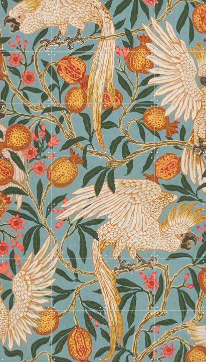 Cockatoo and Pomegranate