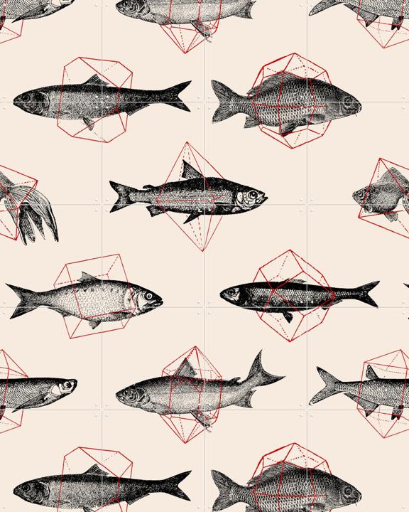Fishes in Geometrics