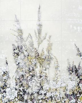 'Winter Reed' par Photolovers