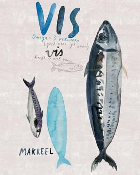 'Vis' von Signorinah