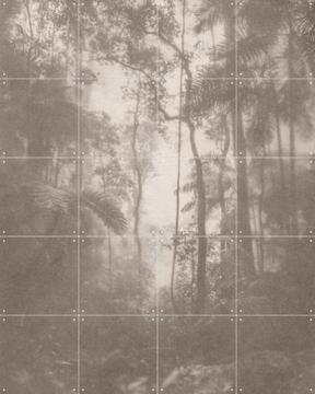 'Jungle Brouillard' par Florent Bodart