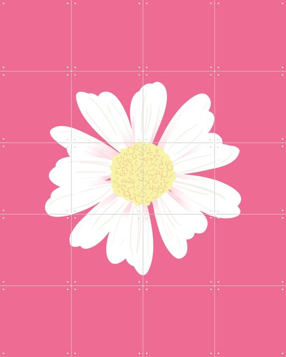 Spring Daisy Pink