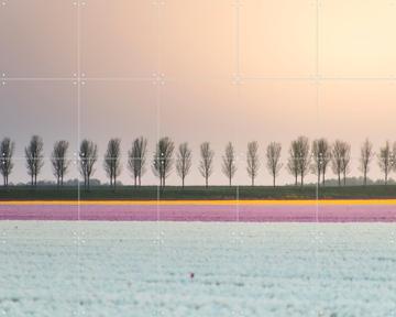 'Lines of Silence' par Claire Droppert