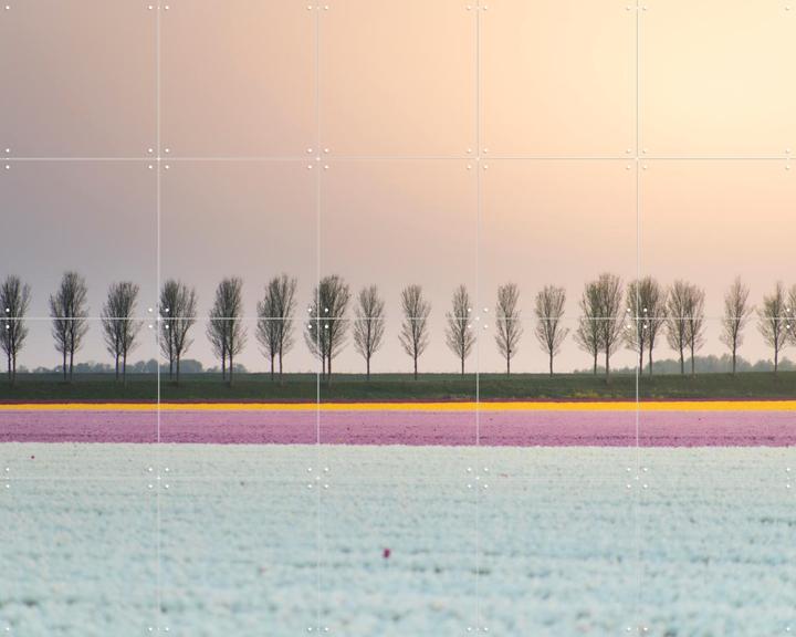 Lines of Silence