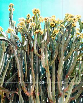 'The Sun Lovers' von Angelo Cerantola