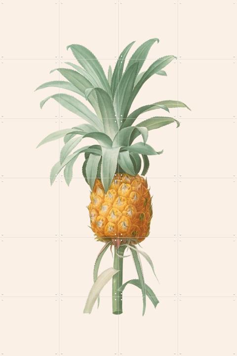Ananas