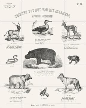 'Animals Chart' par Aster Edition