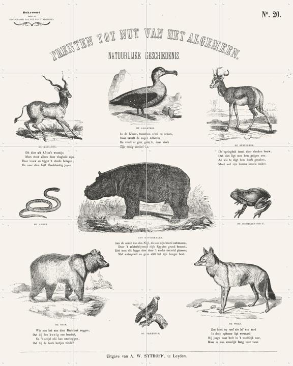 Animals Chart