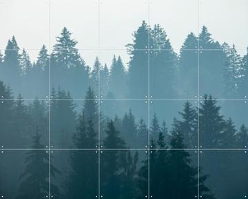 'Mystical Forest' van Claire Droppert