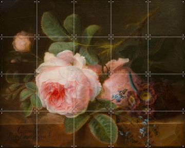 'Cabbage Rose' by Gerard van Spaendonck & Het Noordbrabants Museum