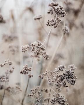 'Unknown 8' by Mareike Böhmer