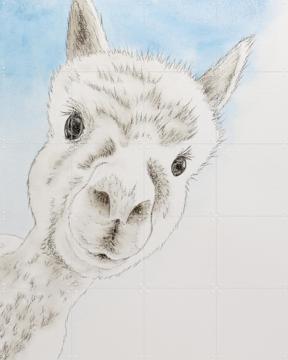 'Curious Alpaca' van Natalie Bruns
