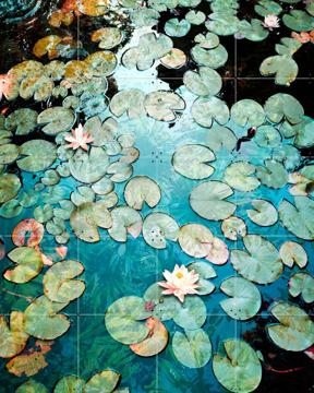 'Waterlilies' von Angelo Cerantola