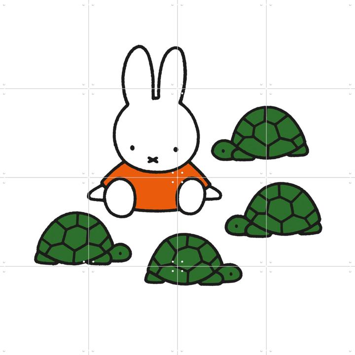 Nijntje Schildpadden