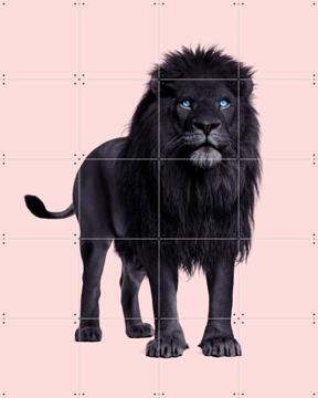 'Black Lion' by Paul Fuentes