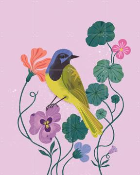 'Green Jay' by Bethan Janine