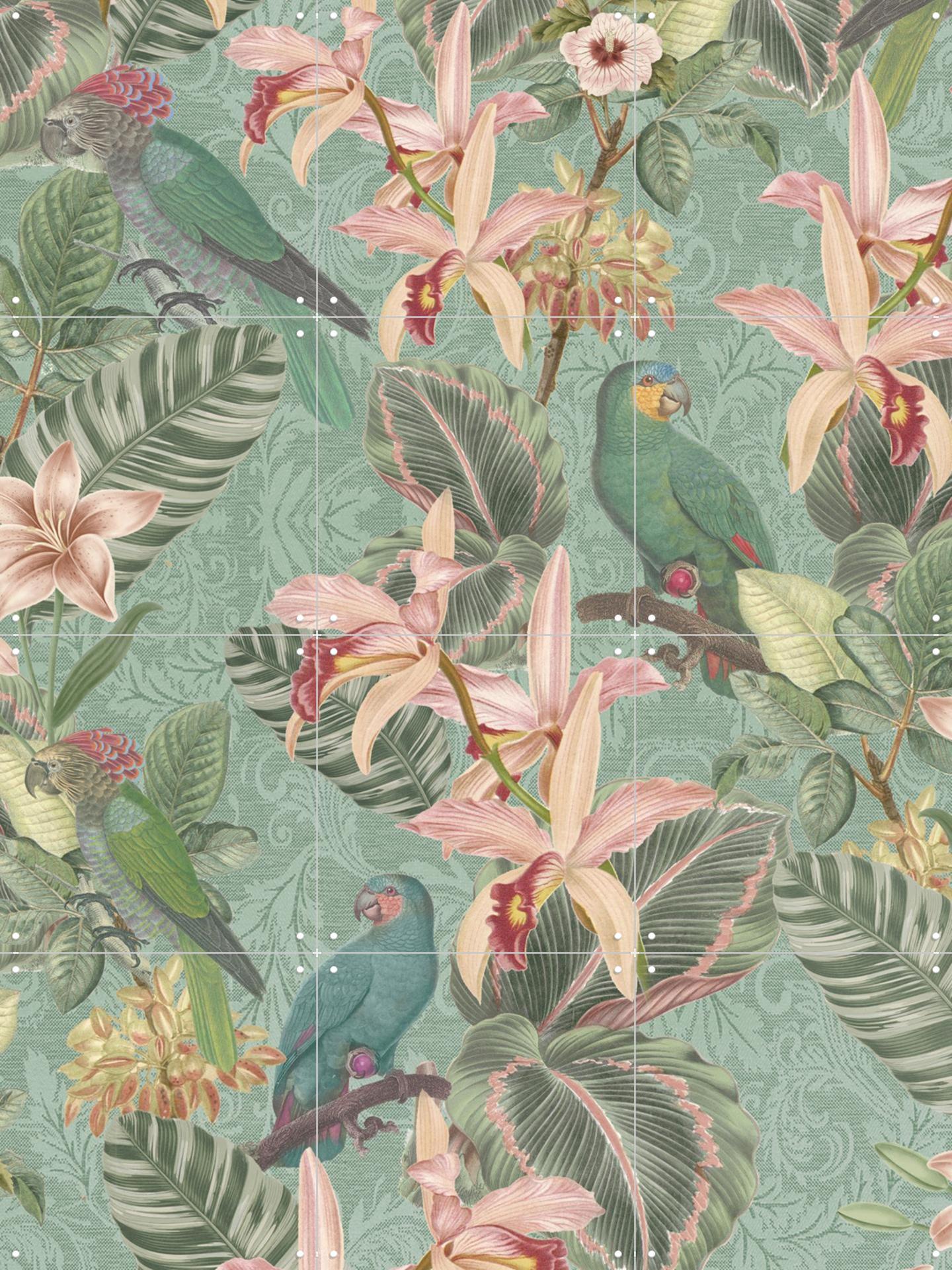 Tropical Jungle Birds Door Bloomery Decor | Wanddecoratie | Kunst