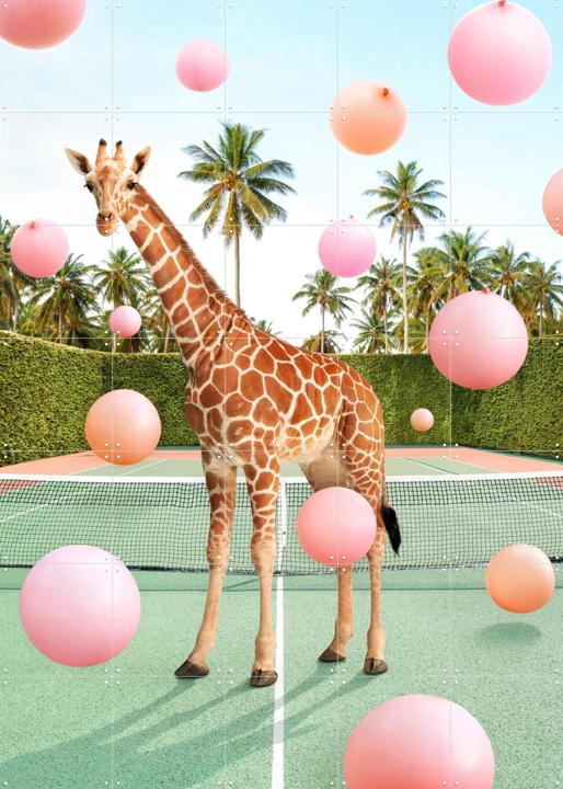 Tennis Giraffe