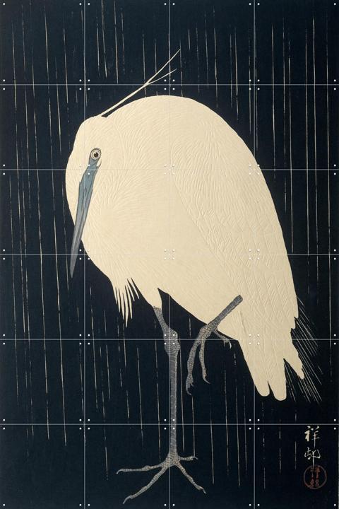 Zilverreiger in de regen