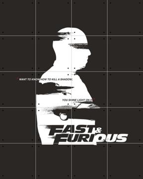 'Linear Velocity Silhouette' by The Fast and the Furious  & Universal Pictures