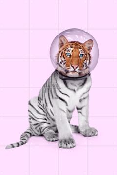 'Space Tiger' van Paul Fuentes