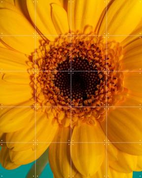 'Happy Sunshine A Warm Yellow Flower' by Marjolijn van den Berg