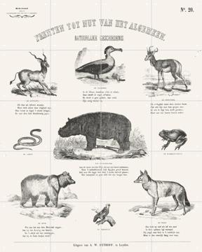 'Animals Chart' by Aster Edition
